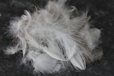 Перопуховое сырье "Дуэт"