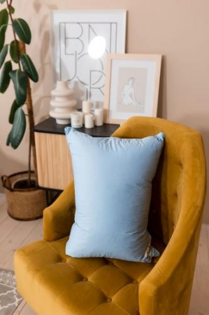 ПУХОВАЯ ПОДУШКА, СРЕДНЯЯ «ДЕБЮТ», 38X60 СМ