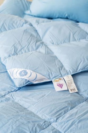 ТЕПЛОЕ ПУХОВОЕ ОДЕЯЛО «ДЕБЮТ», 200X220 СМ. 1100 гр