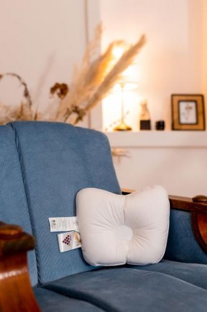 ДЕТСКАЯ ОРТОПЕДИЧЕСКАЯ ПУХОВАЯ ПОДУШКА ДЛЯ НОВОРОЖДЕННОГО «БЕЛЫЙ ГУСЕНОК», 21X25 СМ