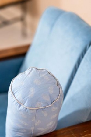 ПУХОВЫЙ ВАЛИК «ДУЭТ», 40X15 СМ