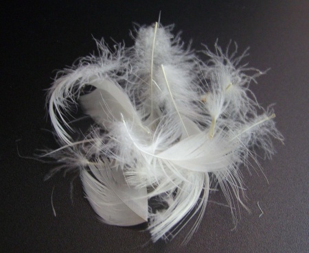 Перопуховое сырье "Дуэт"