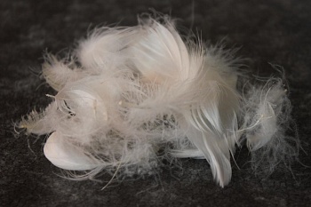 Перопуховое сырье "Прима"